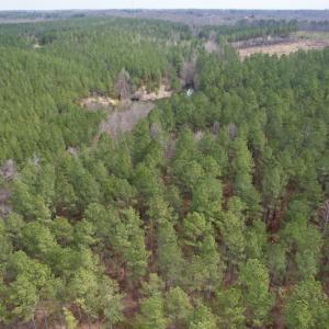 Photo #6 of SOLD property in Lot 20 Indian Caves Road East, Meadville, VA 20.0 acres