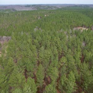 Photo #7 of SOLD property in Lot 20 Indian Caves Road East, Meadville, VA 20.0 acres