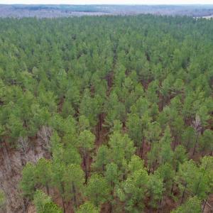 Photo #8 of SOLD property in Lot 20 Indian Caves Road East, Meadville, VA 20.0 acres