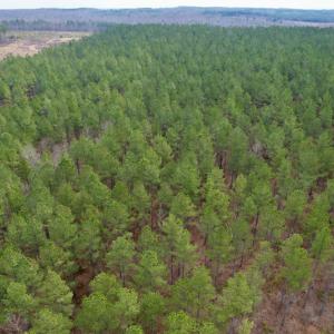 Photo #9 of SOLD property in Lot 20 Indian Caves Road East, Meadville, VA 20.0 acres