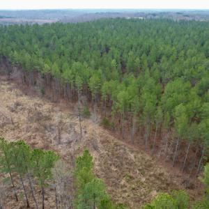 Photo #10 of SOLD property in Lot 21 Indian Caves Rd East, Meadville, VA 20.4 acres