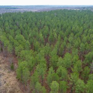Photo #11 of SOLD property in Lot 21 Indian Caves Rd East, Meadville, VA 20.4 acres
