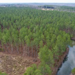 Photo #12 of SOLD property in Lot 21 Indian Caves Rd East, Meadville, VA 20.4 acres