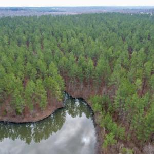 Photo #13 of SOLD property in Lot 21 Indian Caves Rd East, Meadville, VA 20.4 acres