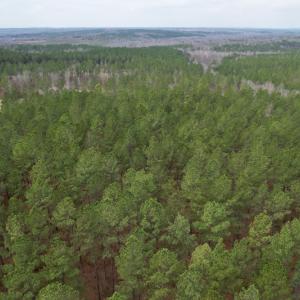 Photo #17 of SOLD property in Lot 21 Indian Caves Rd East, Meadville, VA 20.4 acres