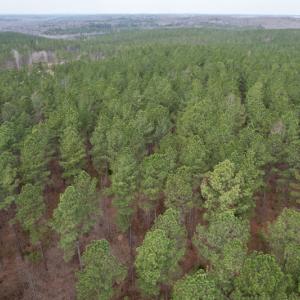 Photo #18 of SOLD property in Lot 21 Indian Caves Rd East, Meadville, VA 20.4 acres