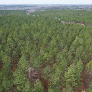 Photo #22 of SOLD property in Lot 21 Indian Caves Rd East, Meadville, VA 20.4 acres