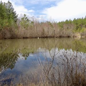 Photo #36 of SOLD property in Lot 21 Indian Caves Rd East, Meadville, VA 20.4 acres