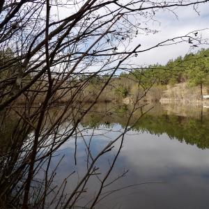 Photo #38 of SOLD property in Lot 21 Indian Caves Rd East, Meadville, VA 20.4 acres