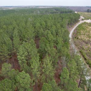 Photo #6 of SOLD property in Lot 21 Indian Caves Rd East, Meadville, VA 20.4 acres
