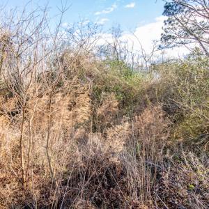 Photo #18 of SOLD property in 219 W. Dover Road, Dover, NC 2.7 acres