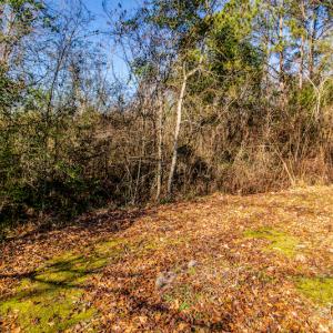 Photo #22 of SOLD property in 219 W. Dover Road, Dover, NC 2.7 acres
