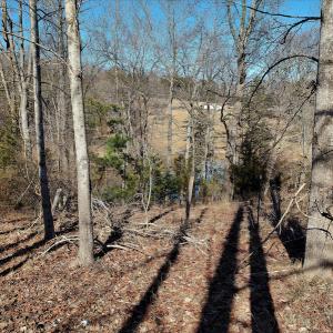 Photo #3 of SOLD property in 1539 Bruno Drive, Goodview, VA 2.0 acres