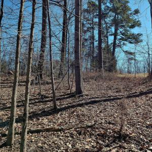 Photo #8 of SOLD property in 1539 Bruno Drive, Goodview, VA 2.0 acres