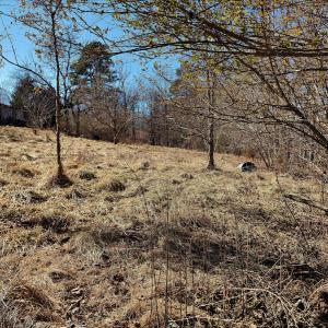 Photo #9 of SOLD property in 1539 Bruno Drive, Goodview, VA 2.0 acres