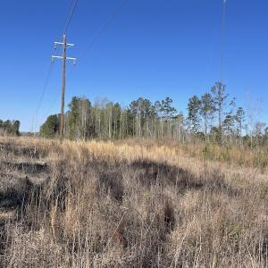 Photo #4 of Off Pee Dee Church Road, Dillon, SC 29.6 acres