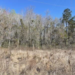 Photo #6 of Off Pee Dee Church Road, Dillon, SC 29.6 acres
