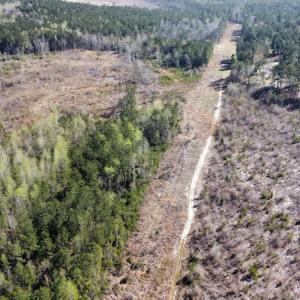 Photo #8 of Off Pee Dee Church Road, Dillon, SC 29.6 acres