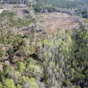 Photo #9 of Off Pee Dee Church Road, Dillon, SC 29.6 acres