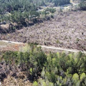 Photo #10 of Off Pee Dee Church Road, Dillon, SC 29.6 acres