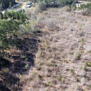 Photo #11 of Off Pee Dee Church Road, Dillon, SC 29.6 acres