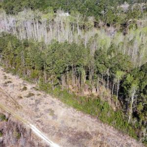 Photo #13 of Off Pee Dee Church Road, Dillon, SC 29.6 acres