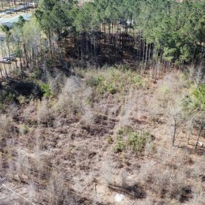 Photo #15 of Off Pee Dee Church Road, Dillon, SC 29.6 acres