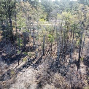 Photo #16 of Off Pee Dee Church Road, Dillon, SC 29.6 acres