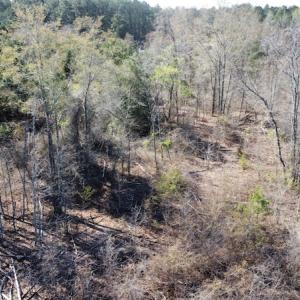 Photo #17 of Off Pee Dee Church Road, Dillon, SC 29.6 acres
