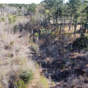 Photo #18 of Off Pee Dee Church Road, Dillon, SC 29.6 acres