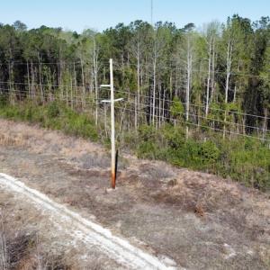 Photo #19 of Off Pee Dee Church Road, Dillon, SC 29.6 acres