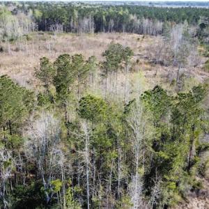 Photo #23 of Off Pee Dee Church Road, Dillon, SC 29.6 acres