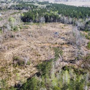 Photo #27 of Off Pee Dee Church Road, Dillon, SC 29.6 acres