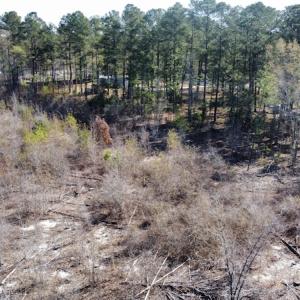 Photo #29 of Off Pee Dee Church Road, Dillon, SC 29.6 acres