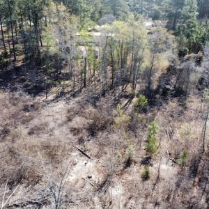 Photo #31 of Off Pee Dee Church Road, Dillon, SC 29.6 acres