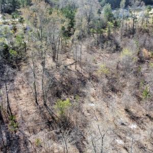 Photo #32 of Off Pee Dee Church Road, Dillon, SC 29.6 acres