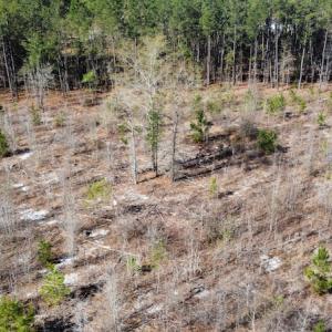 Photo #33 of Off Pee Dee Church Road, Dillon, SC 29.6 acres