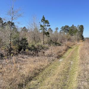 Photo #35 of Off Pee Dee Church Road, Dillon, SC 29.6 acres