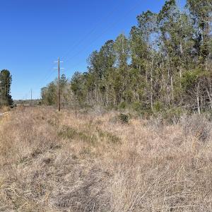Photo #36 of Off Pee Dee Church Road, Dillon, SC 29.6 acres