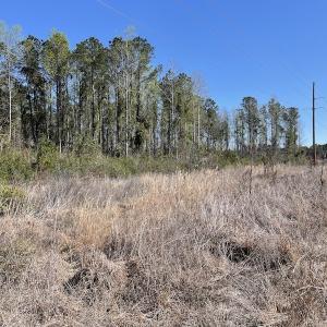 Photo #37 of Off Pee Dee Church Road, Dillon, SC 29.6 acres