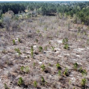 Photo #2 of Off Pee Dee Church Road, Dillon, SC 29.6 acres