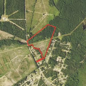 Photo #1 of Off Pee Dee Church Road, Dillon, SC 29.6 acres