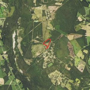 Photo #38 of Off Pee Dee Church Road, Dillon, SC 29.6 acres