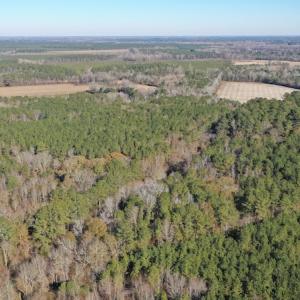 Photo #9 of SOLD property in Off Kansas Road, Dover, NC 4.0 acres