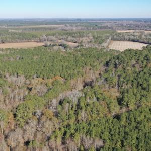 Photo #10 of SOLD property in Off Kansas Road, Dover, NC 4.0 acres