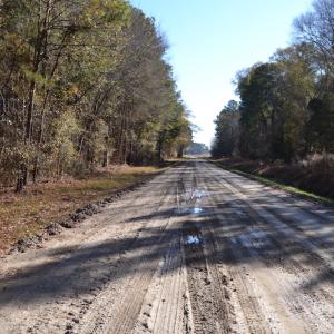 Photo #14 of SOLD property in Off Kansas Road, Dover, NC 4.0 acres