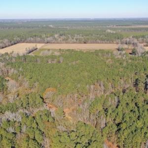 Photo #2 of SOLD property in Off Kansas Road, Dover, NC 4.0 acres
