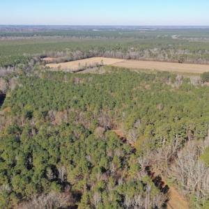 Photo #3 of SOLD property in Off Kansas Road, Dover, NC 4.0 acres