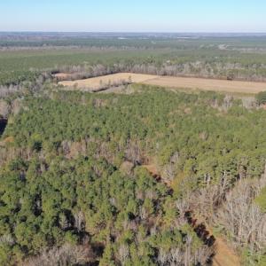 Photo #3 of SOLD property in Off Kansas Road, Dover, NC 4.0 acres