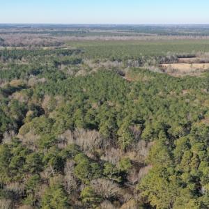 Photo #4 of SOLD property in Off Kansas Road, Dover, NC 4.0 acres